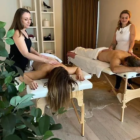 Auxiliumwellness Get Back To Serenity Bed and Breakfast Grobbendonk